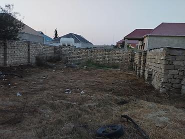 kurdaxani: 3 sot, Tikinti, Kupça (Çıxarış) — 2