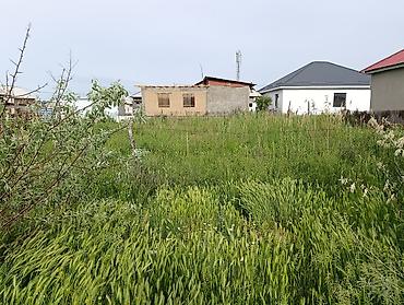 участка кунтуу: 4 соток, Курулуш, Кызыл китеп — 2