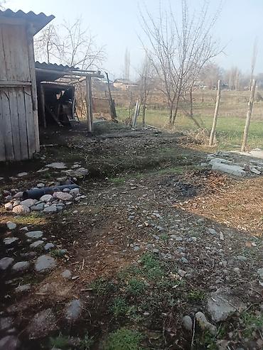 Продажа коттеджей и домов: Продается частный дом с приусадебным участком. Описание: - Участок с — 7