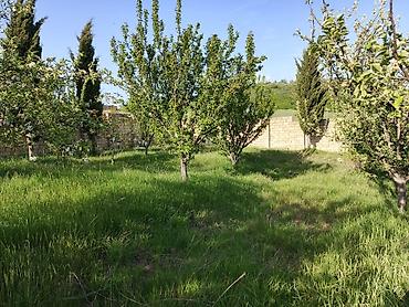 Torpaq sahələrinin satışı: 30 sot, Tikinti, Mülkiyyətçi, Kupça (Çıxarış) — 10