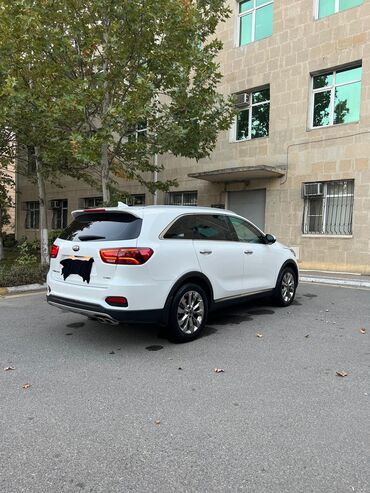 volkswagen polo nece masindi: Kia Cerato: 2.2 l | 2019 il Universal