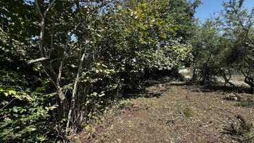 Torpaq sahələrinin satışı: 10 sot, Tikinti, Kupça (Çıxarış) — 8