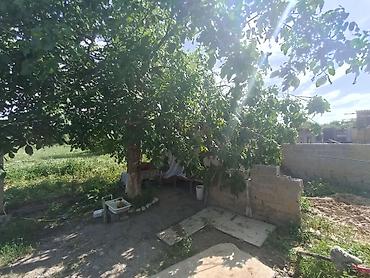 срочно только нал: 🏡✨ ПРОДАЁТСЯ БОЛЬШОЙ УЮТНЫЙ ДОМ С ДВУМЯ ЖИЛЫМИ ДОМАМИ НА УЧАСТКЕ! ✨🏡 📍 — 8