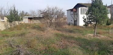 Torpaq sahələrinin satışı: Kupça (Çıxarış) — 3