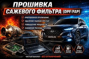 Прошивка сажевого фильтра отключение Adblue, EGR, DPF/FAP) для