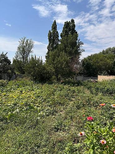 Продажа коттеджей и домов: 📍 В Сокулуке продается дом на участке 22 соток, 120 кв.м. 🏡Дом с — 6