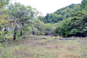 Torpaq sahələrinin satışı: 80 sot, Biznes üçün, Barter mümkündür, Kupça (Çıxarış) — 14