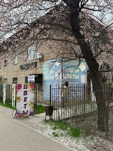 эвелины цветы: Продаётся помещение 42 кв 1 этаж ул Лермонтова 4/2 тел - Авторские — 5