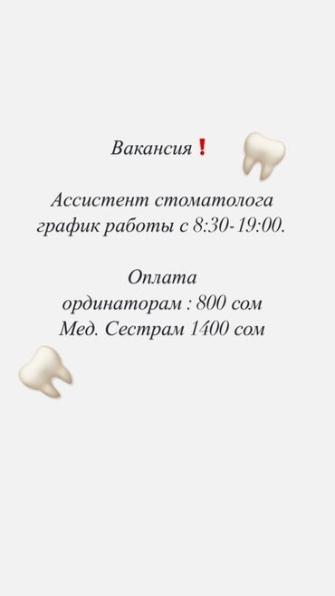 Помощники, ассистенты: Помощник