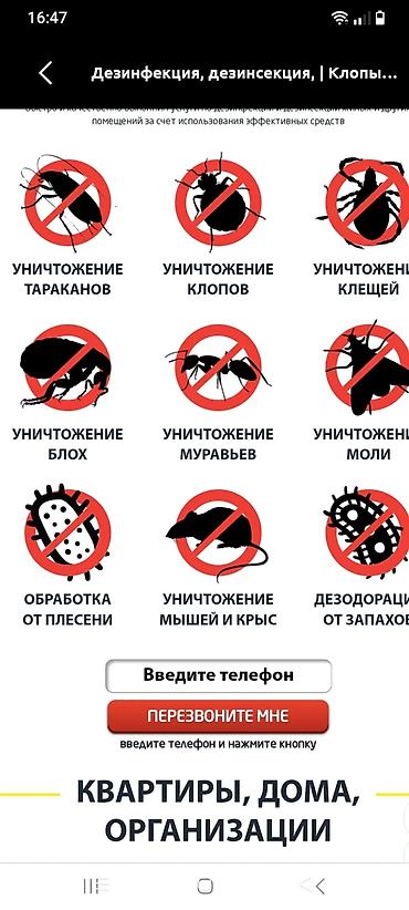 Дезинфекция, дезинсекция: Дезинфекция, дезинсекция, | Тараканы, | Квартиры — 2