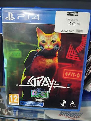 pişikli oyunlar: Məhsul: Stray – PS4 üçün fiziki disk - Platforma: PlayStation 4 (PS5 — 1