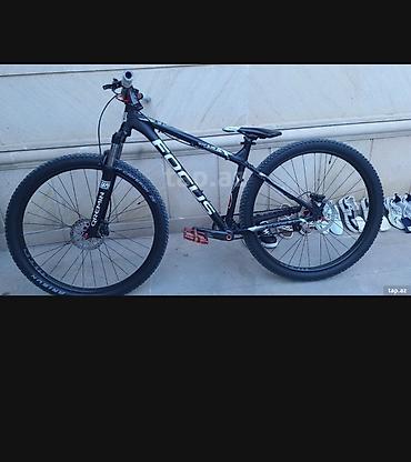 Focus Black Forest MTB velosiped - Çərçivə: Focus alüminium hardtail