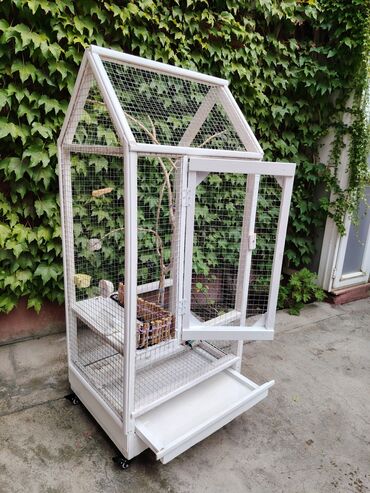 Qəfəslər: Əl işi taxda qəfəs qiyməti 160 azn real alıcılara endirim etmək olar — 6