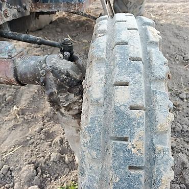 Капуста: Капуста — 8