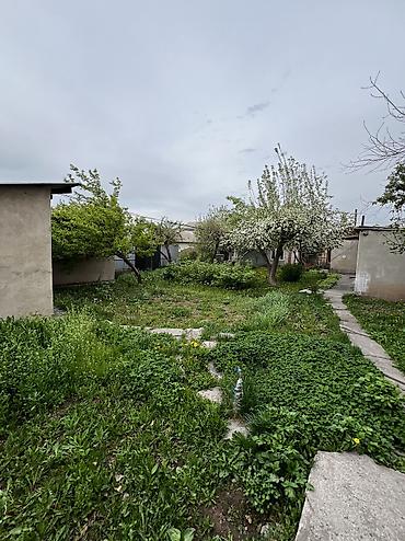 Продажа коттеджей и домов: СРОЧНО! СРОЧНО!🔥🔥🔥🔥 •ПРОДАЕТСЯ 9 Удобное расположение центр села — 12