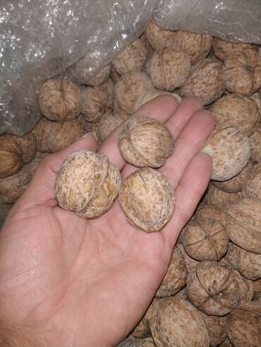 оптом сухофрукты: Продам, грецкие орехи 8 кг
