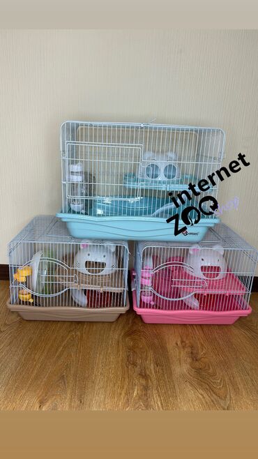 Хомяки: Продаются хомячки джунгарские, сирийские, ангорские пушистые хомячки — 27