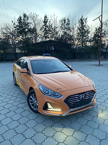 Hyundai: Hyundai Sonata: 2019 г., 2 л, Автомат, Газ, Седан — 1