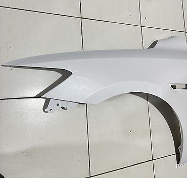 byd oluxana: BYD Qin Plus Ön Qanadı Krlosu Hazır Rəngli — 2