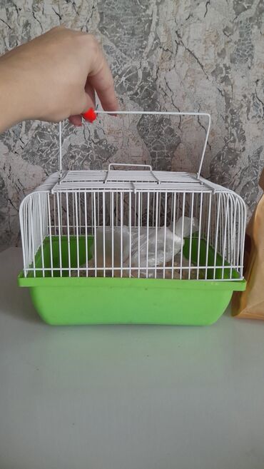купить клетку для декоративного кролика бу: Переноска-клетка для мелких животных/птиц - Компактная переносная