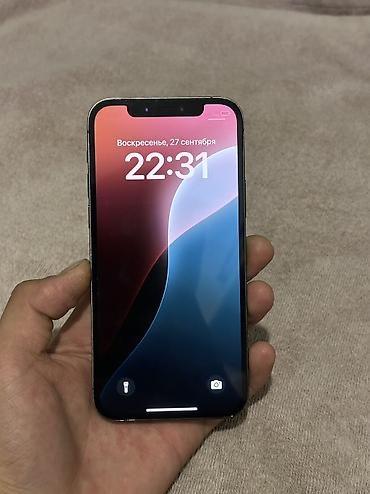 true: IPhone 12 Pro, Б/у, 256 ГБ, Blue Titanium, 79 % — 6