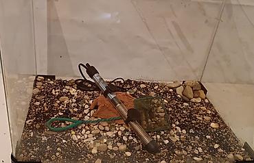xiaomi akvarium: Hazır Zavod Akvariumu Uzunluq -55sm.Eni-36sm.Hündürlük-40sm.Tutum-79.2 — 2