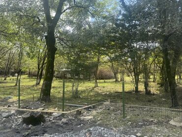 Torpaq sahələrinin satışı: 77 sot, Biznes üçün, Mülkiyyətçi, Kupça (Çıxarış) -da lalafo.az — 9 Torpaq sahələrinin satışı: 77 sot, Biznes üçün, Mülkiyyətçi, Kupça (Çıxarış) — 9