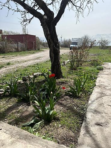 бишкек дом: 4500 соток, Для бизнеса, Договор купли-продажи — 3