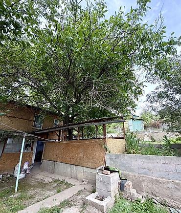 Недвижимость: 🏡🔥 УЧАСТОК С ВИДОМ НА ГОРЫ В БЕШ-КУНГЕЕ — МЕЧТА, КОТОРУЮ ЗАБИРАЮТ — 6