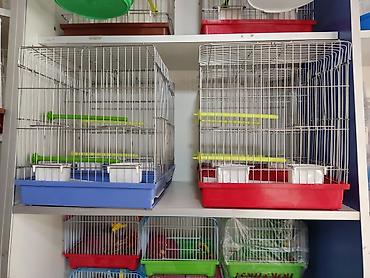 Зоотовары: Клетки для птиц и грызунов! — 9