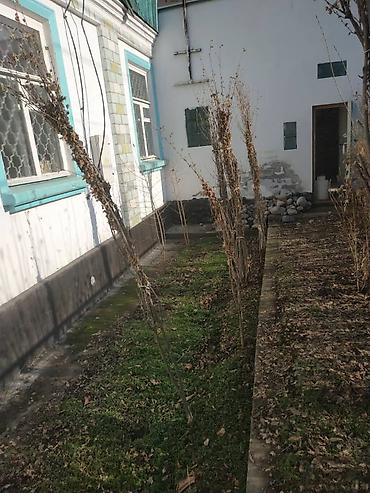 Долгосрочная аренда домов: 50 м², 3 комнаты — 4