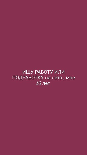 я ищу работу в городе каракол: Официант. Тажрыйбалуу