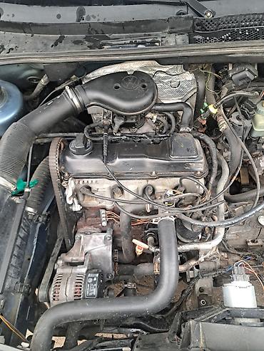 полировка и керамика цена: Volkswagen Golf: 1993 г., 1.8 л, Механика, Бензин, Седан — 8