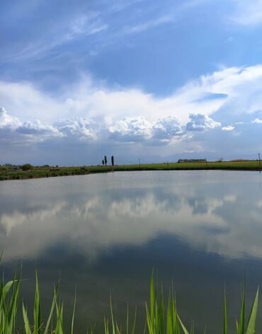 Продажа участков: 600 соток, Для бизнеса, Красная книга — 16