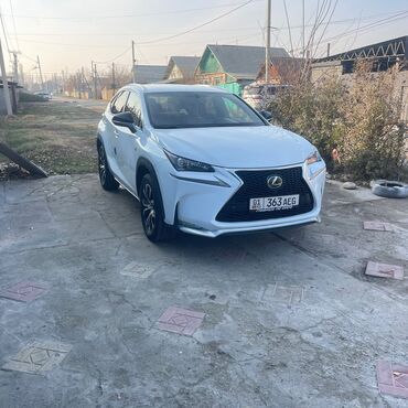Lexus: Lexus NX: 2017 г., Кроссовер — 22