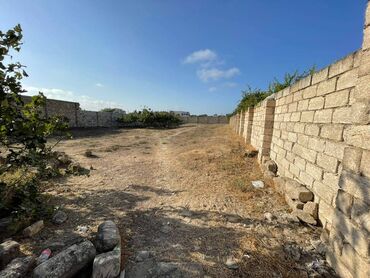 şirvan əmlak: 12 sot, Kupça (Çıxarış)