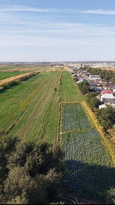 участок горный маевка: 460 соток, Для сельского хозяйства — 2