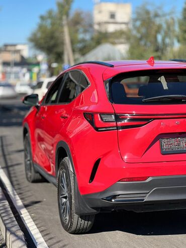 Lexus: Lexus NX: 2022 г., Автомат, Бензин, Кроссовер — 2