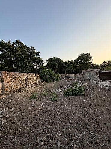 Torpaq sahələrinin satışı: Kənd təsərrüfatı, Mülkiyyətçi -da lalafo.az — 6 Torpaq sahələrinin satışı: Kənd təsərrüfatı, Mülkiyyətçi — 6