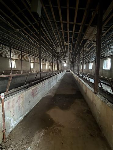 Срочно сарай сатылат 120 башка ылайык
60 сот Кызыл китеп