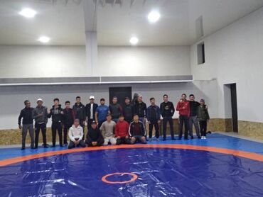 Другое для спорта и отдыха: Борцовский ковер и маты.Гарантия от 5-10 лет олимпийский комплект — 11