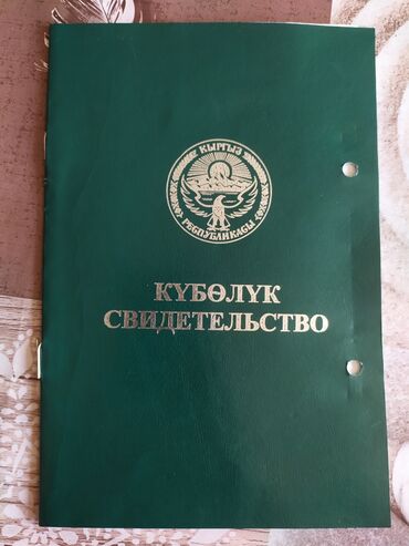 продаю участок село восток: 2300 соток, Для сельского хозяйства