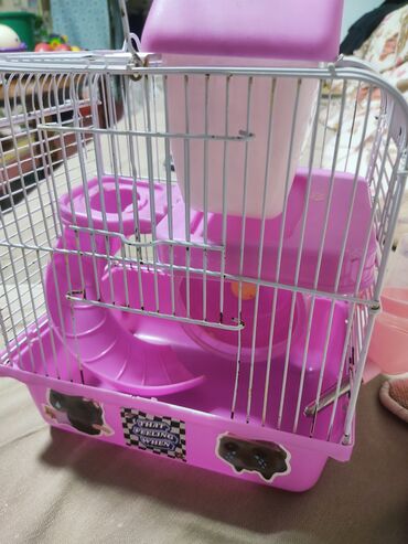 Qəfəslər: Hamster üçün qəfəs – çoxmərtəbəli, aksesuarlarla ki - Rəng — 2