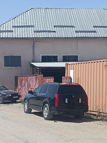 Cadillac: Cadillac SRX: 2005 г., 3.6 л, Автомат, Бензин, Кроссовер — 6