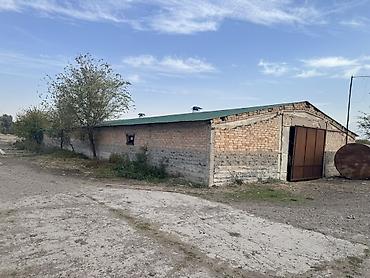 гараж продаю: Сдаю Ферма, 100 голов, 150 соток, Электричество, Водопровод — 5