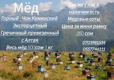 Другие медицинские товары: 🍯 МЁД.МЁД.МЁД 🍯 А ТАК ЖЕ У НАС ЕСТЬ МАТОЧНОЕ МОЛОЧКО МЕДОВЫЕ СОТЫ И