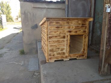 Зоотовары: Будка для больших собак. Будка для маленьких собак. Будка для средних at lalafo.kg — 18 Зоотовары: Будка для больших собак. Будка для маленьких собак. Будка для средних — 18