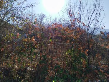 Продажа домов: Дом, 50 м², 3 комнаты, Собственник, Косметический ремонт — 12