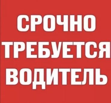 работа медицина: Требуется Водитель-экспедитор, Транспорт компании, 1-2 года опыта, Полный рабочий день, Мужчина