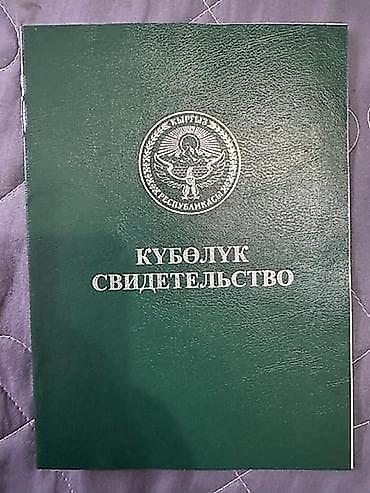 оскон ордо участок: 77 соток, Для сельского хозяйства — 1